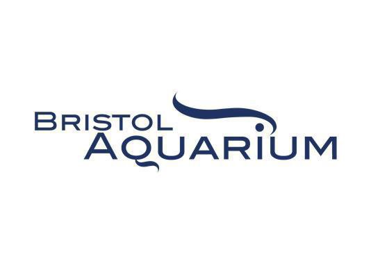 Bristol Aquarium