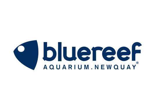 Blue Reef Aquarium Newquay