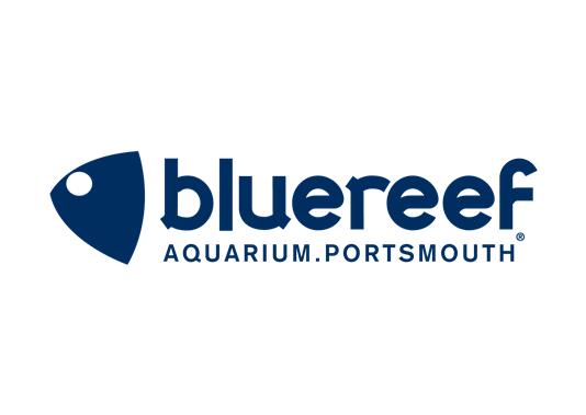 Blue Reef Aquarium Portsmouth