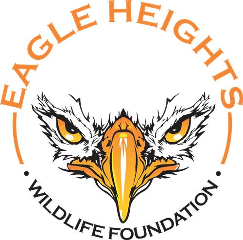 Eagle Heights