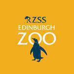 Edinburgh Zoo's Giant Lanterns