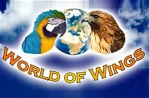 World of Wings